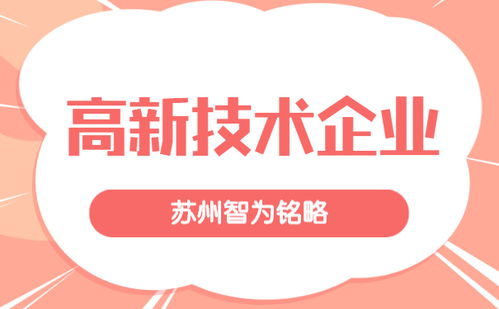 蘇州企業(yè)服務(wù)公司申報(bào)高新技術(shù)企業(yè)的策略 985、211碩士團(tuán)隊(duì)的專業(yè)賦能